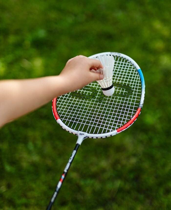 Badminton racket and birdie